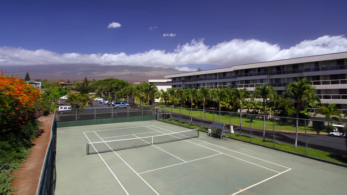 .Maui Banyan Q306