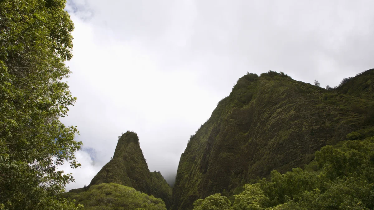 .Hale Kamaole 109