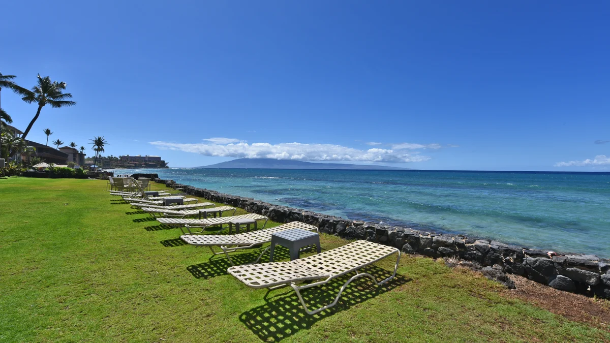 Kaleialoha 309