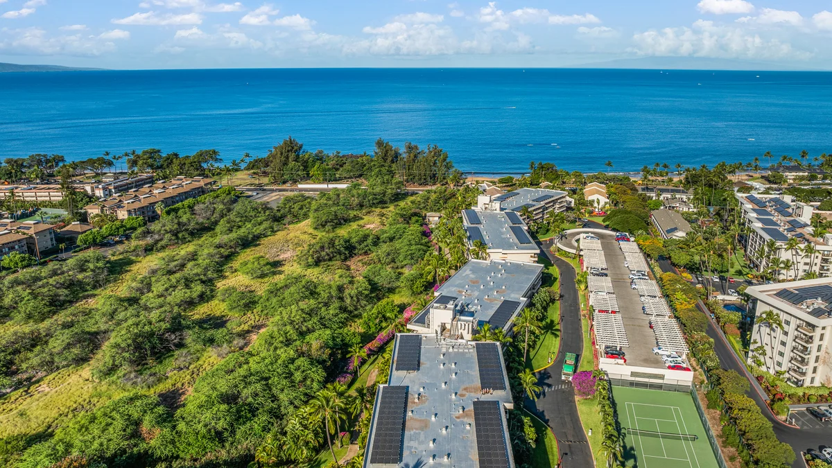 Maui Banyan H207
