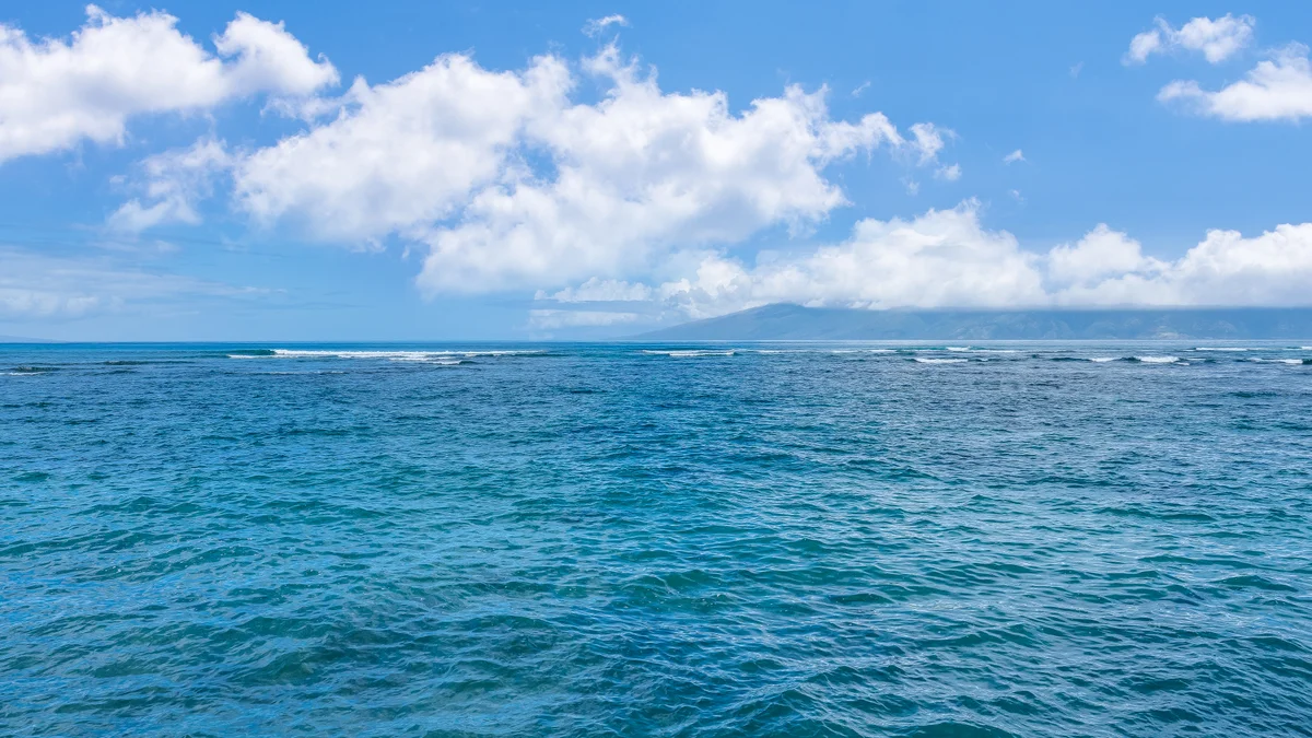 Kahana Reef 215