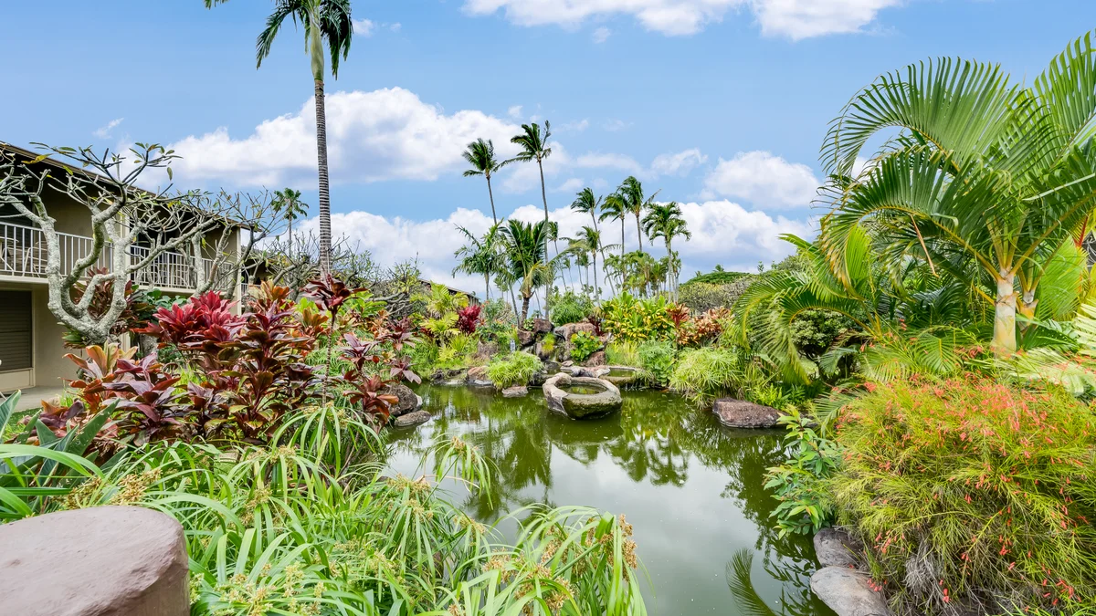 Napili Shores D127