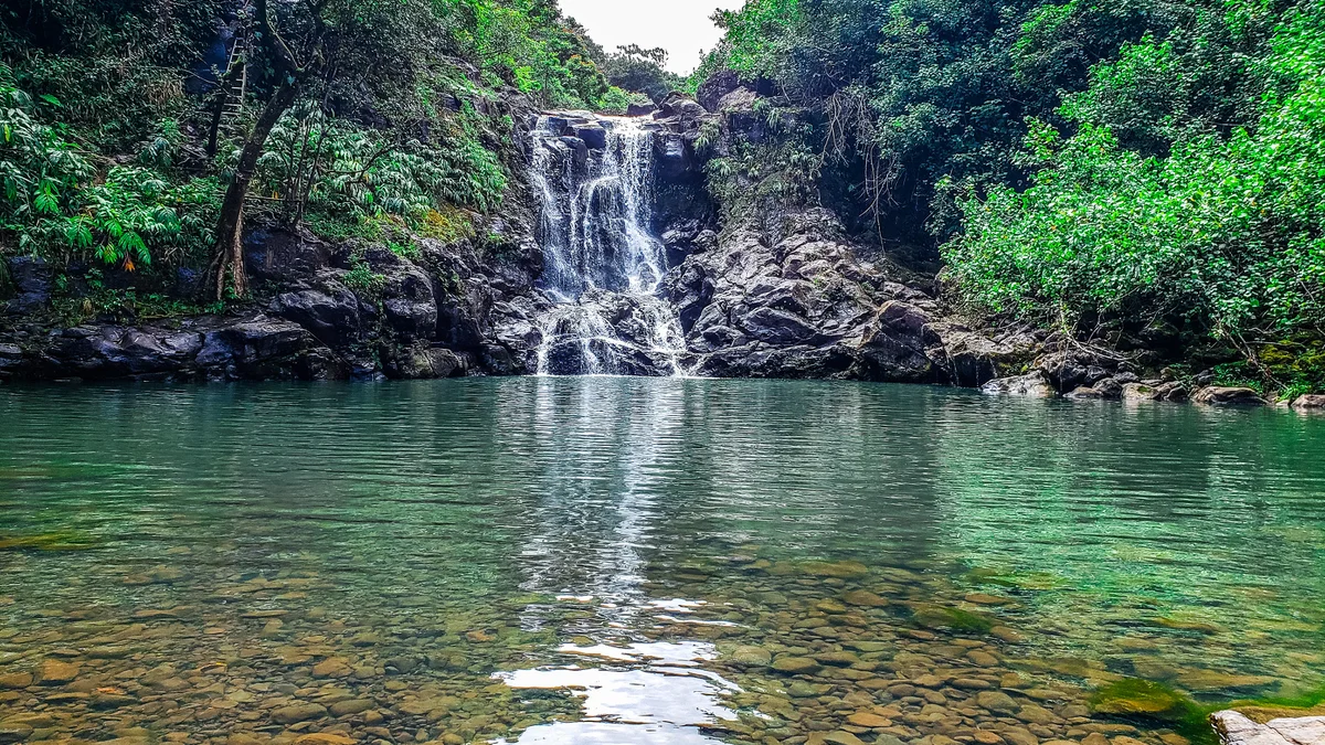 Napili Shores C116
