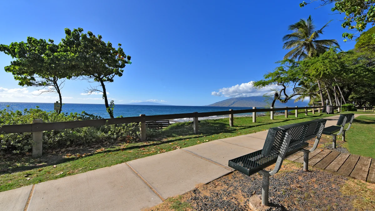 .Maui Banyan Q306