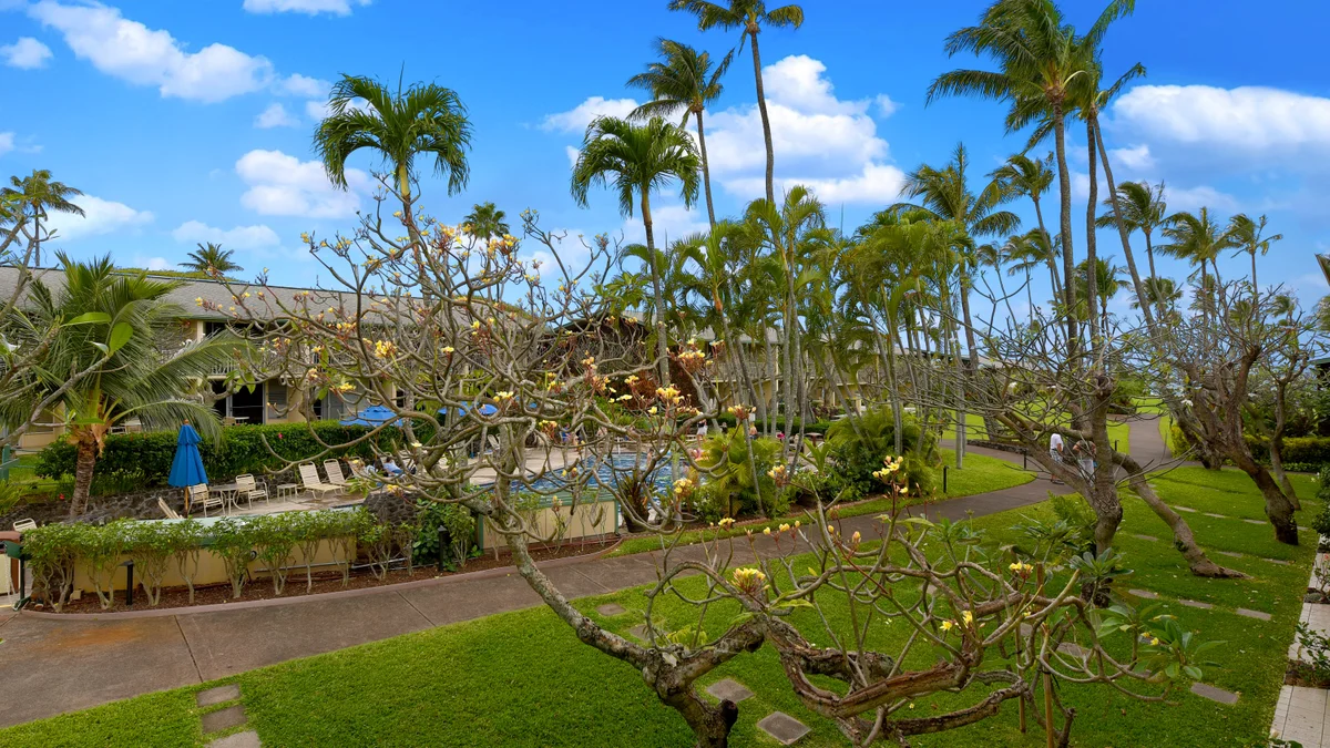 FEMA-Napili Shores D230