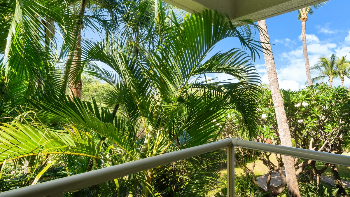Maui Banyan H207