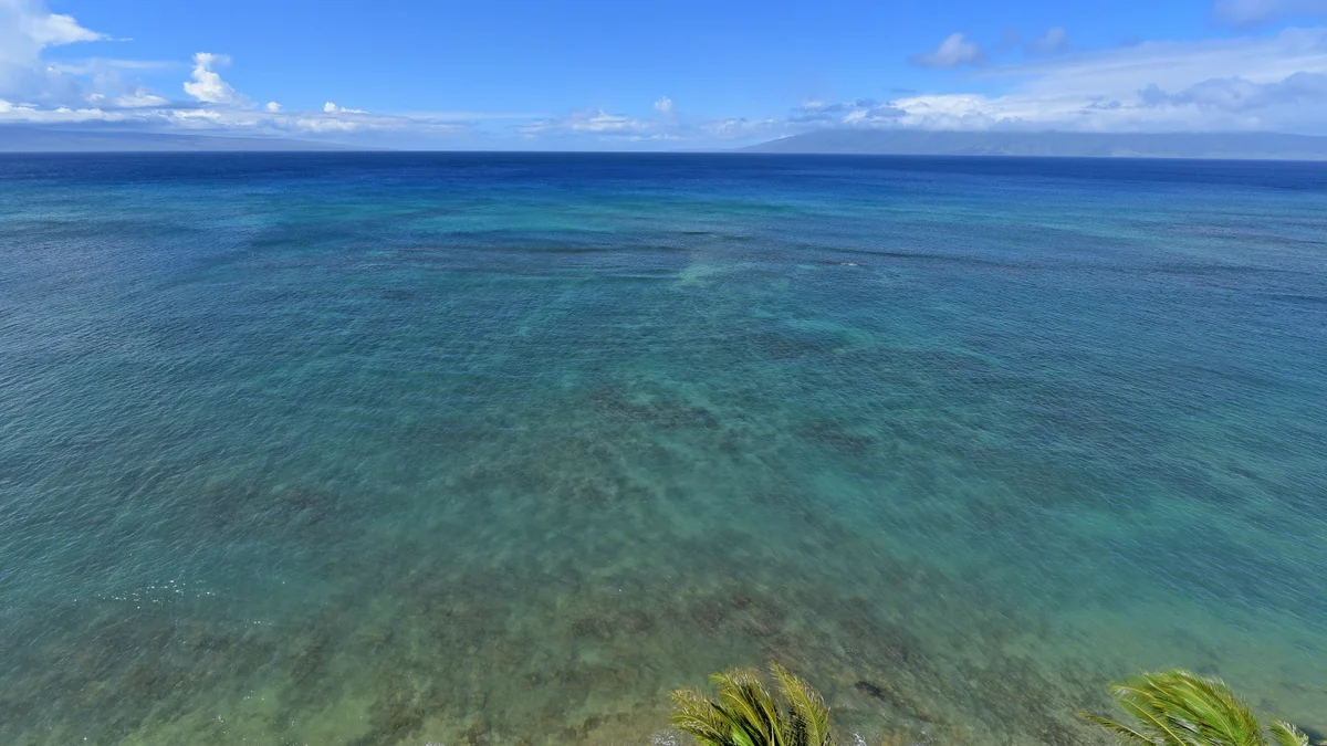 FEMA Royal Kahana 1210