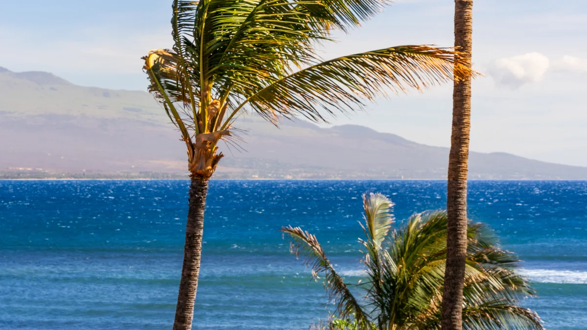 .Maalaea Yacht Marina 405
