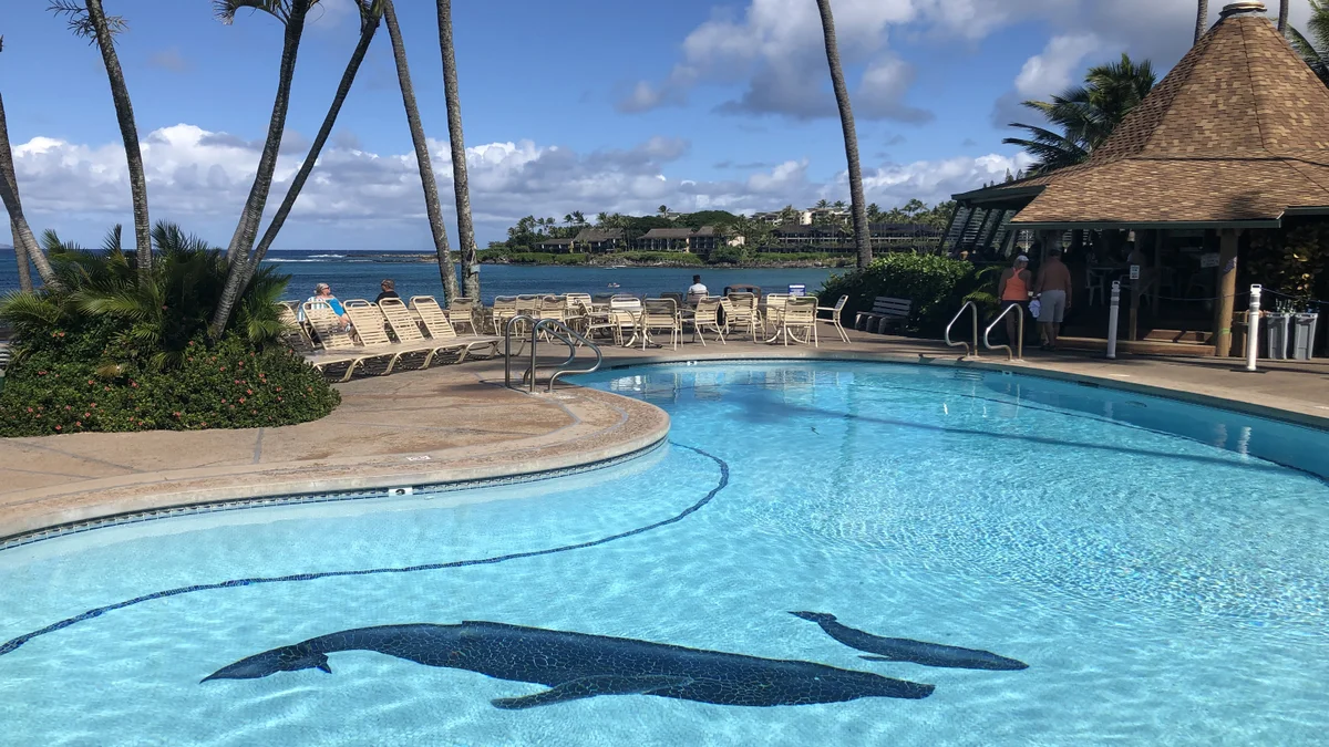 Napili Shores D227