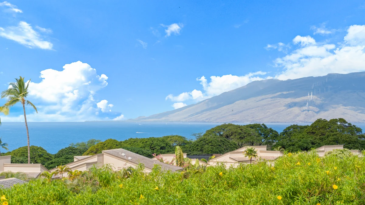 Wailea Ekolu 907