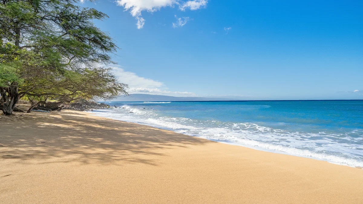 Kahana Manor 608