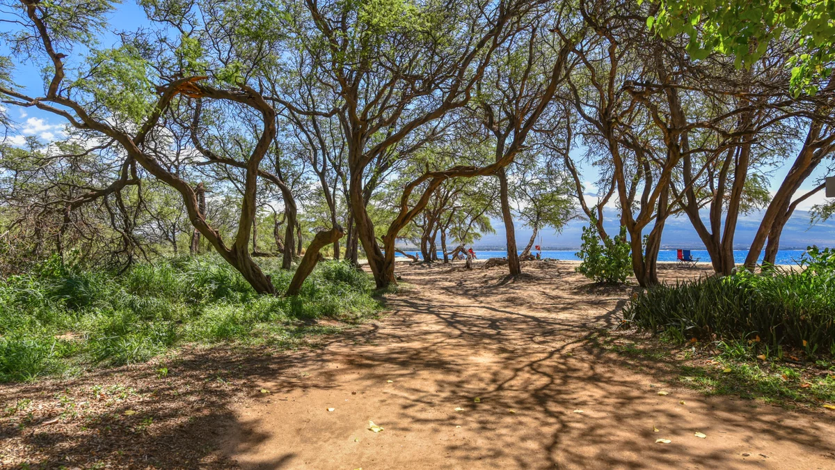 .Maalaea Banyans 408