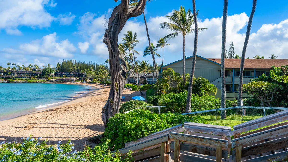 Napili Surf 209