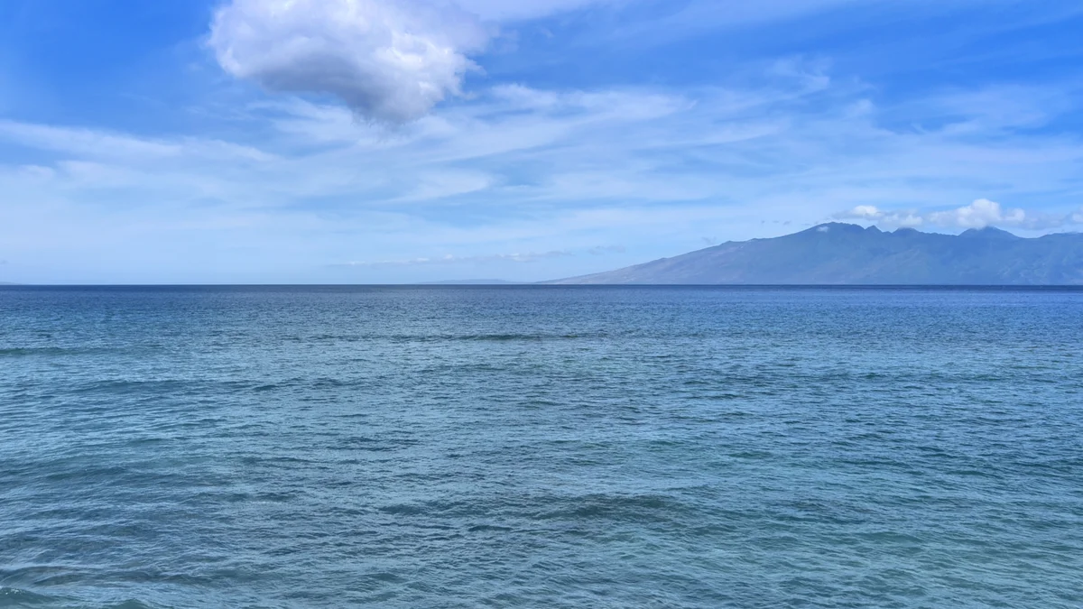 Maui Kai 201