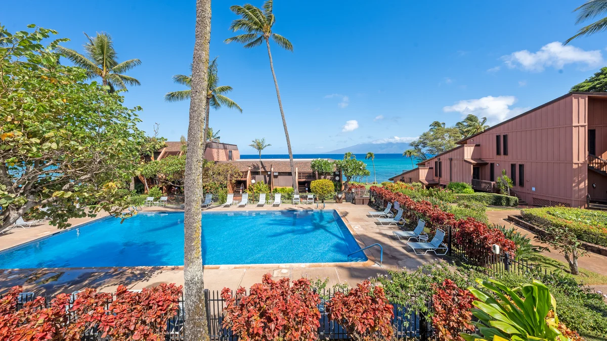 .Kuleana 310
