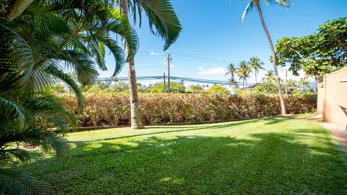 .Maui Vista 1116