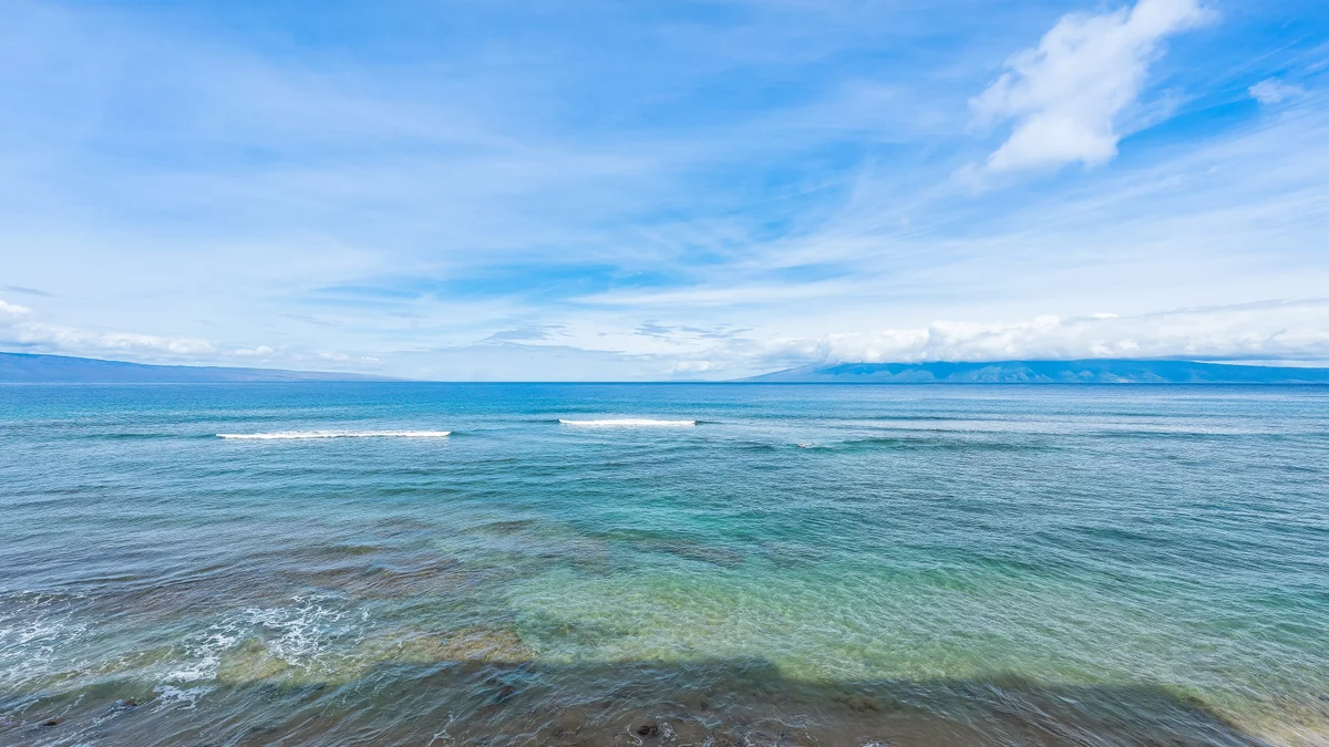Maui Kai 304