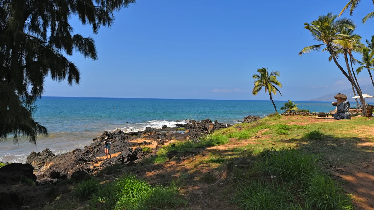 .Pacific Shores A318