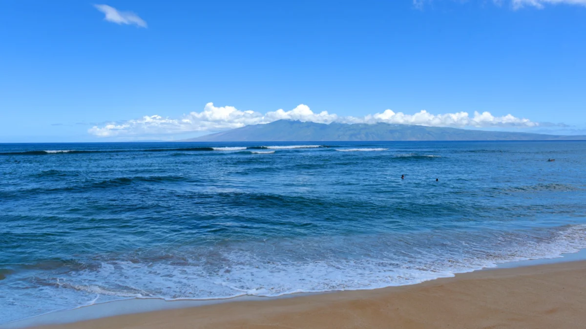 Hale Mahina B401
