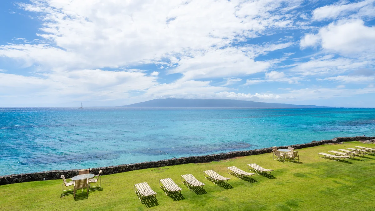 .Kaleialoha 208