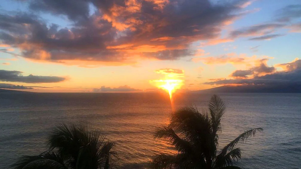 .Mahana 813