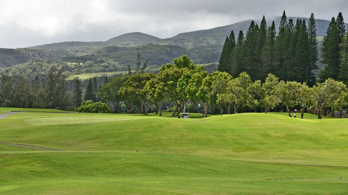 .Kapalua Ridge Villas 2521