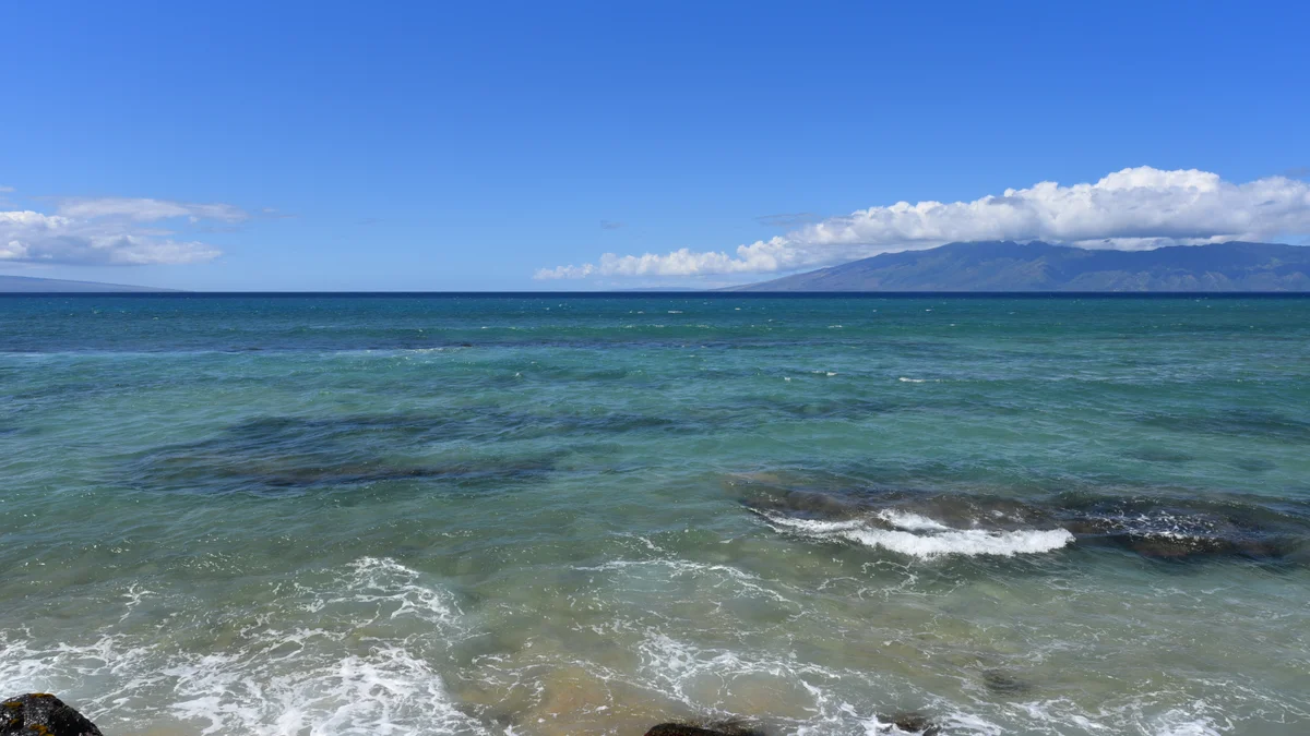 Kaleialoha 309