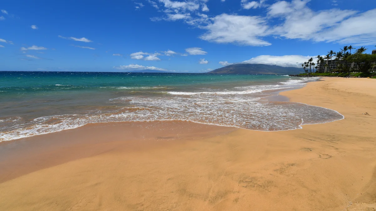 Kihei Akahi D402