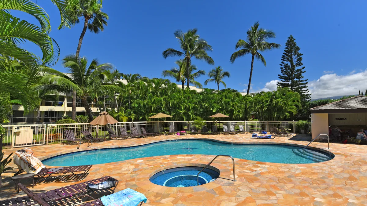.Maui Banyan Q306
