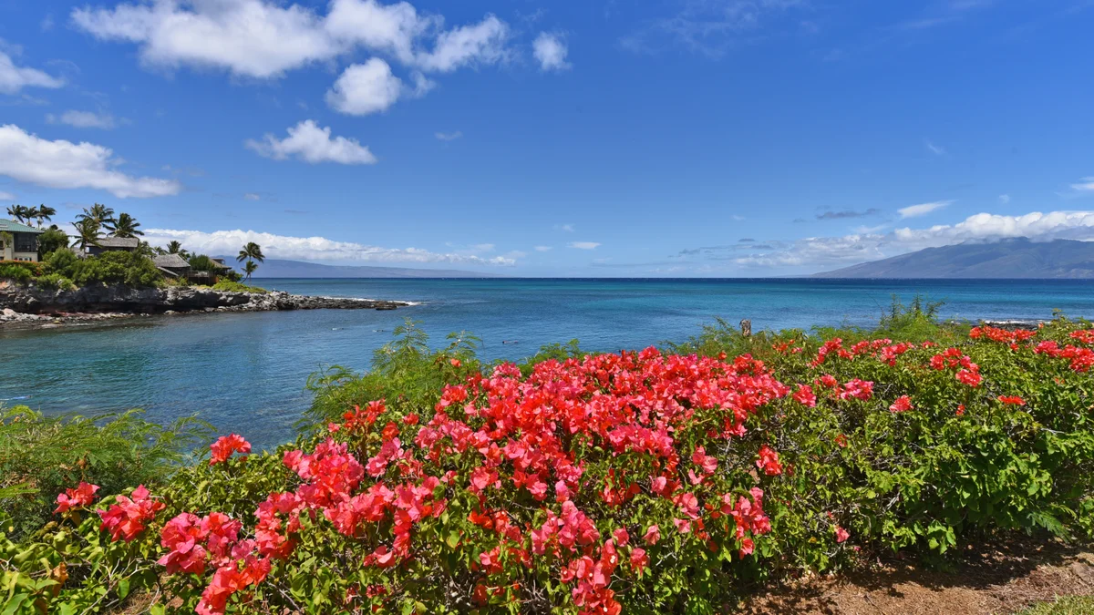 Napili Point B44