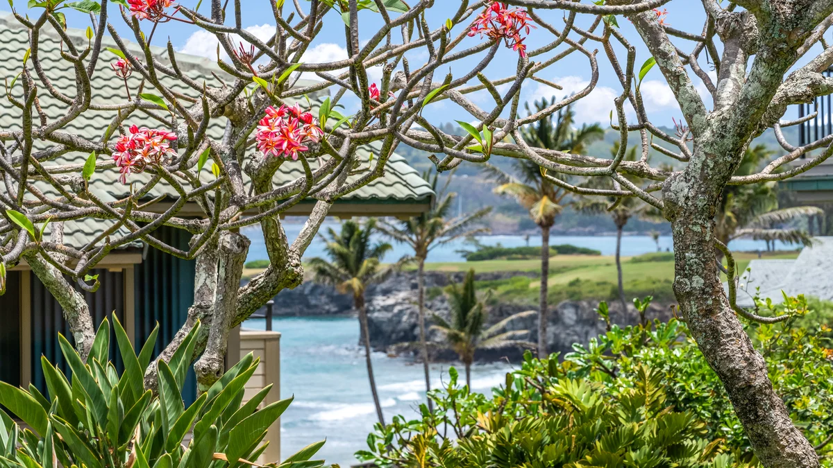 Kapalua Bay Villas 20G4