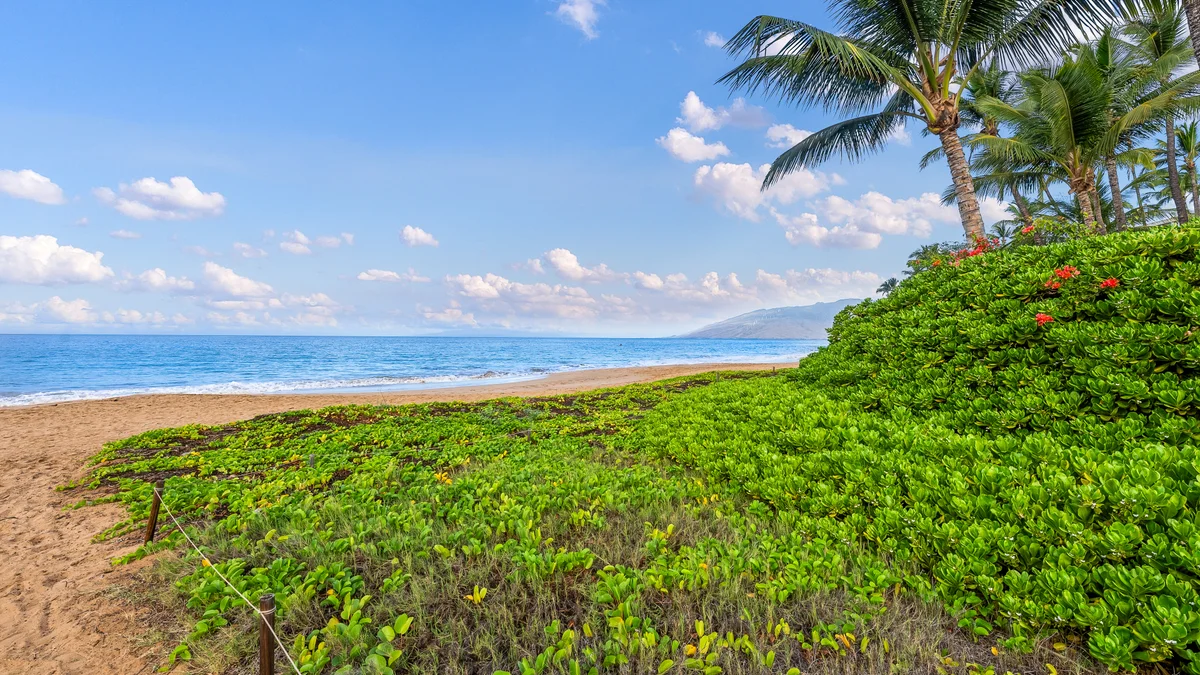 Kihei Kai Nani 13231