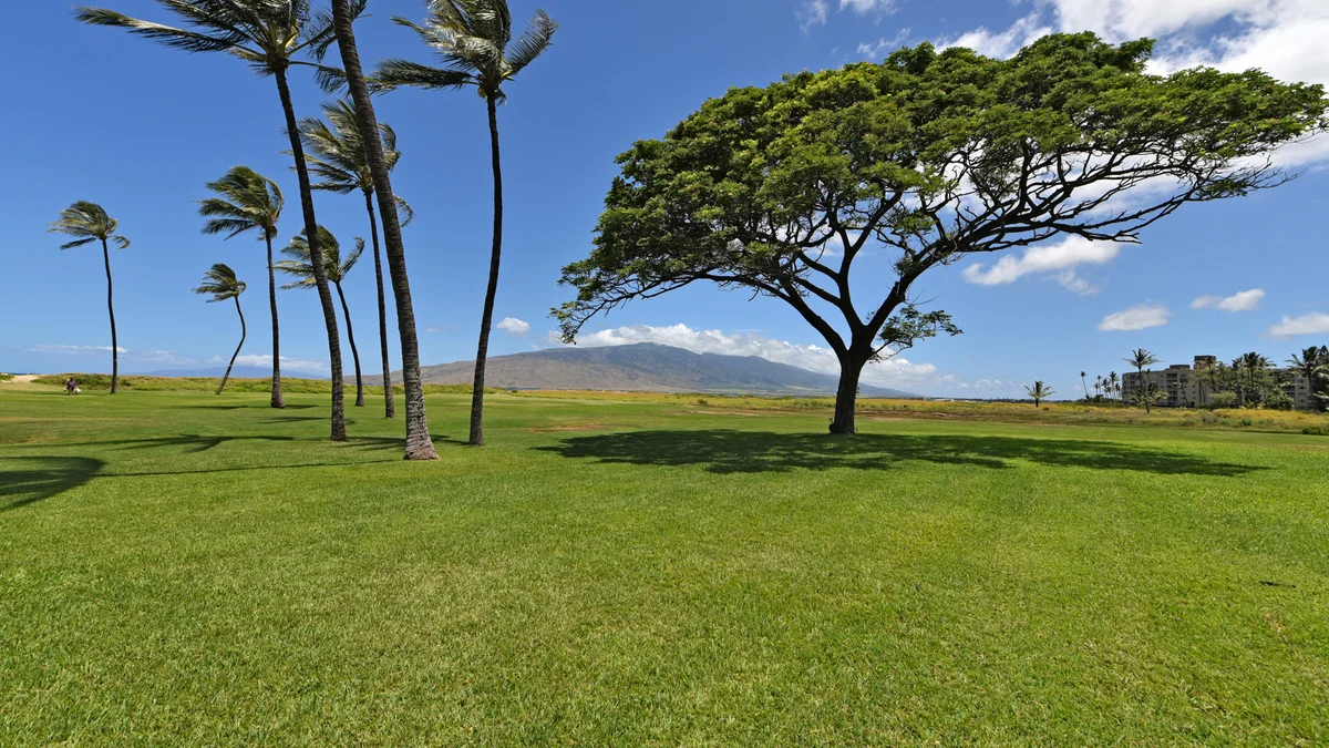 Kauhale Makai 131