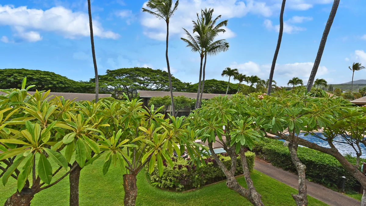 Napili Shores F246