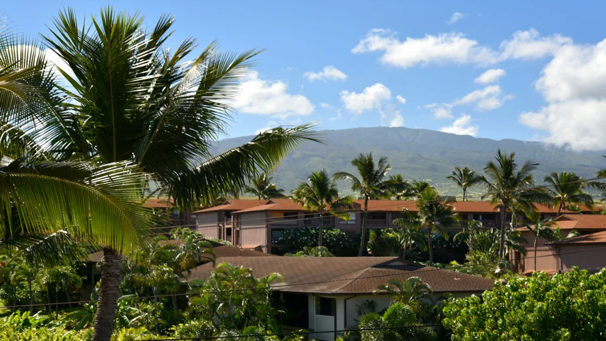 Kaleialoha 401