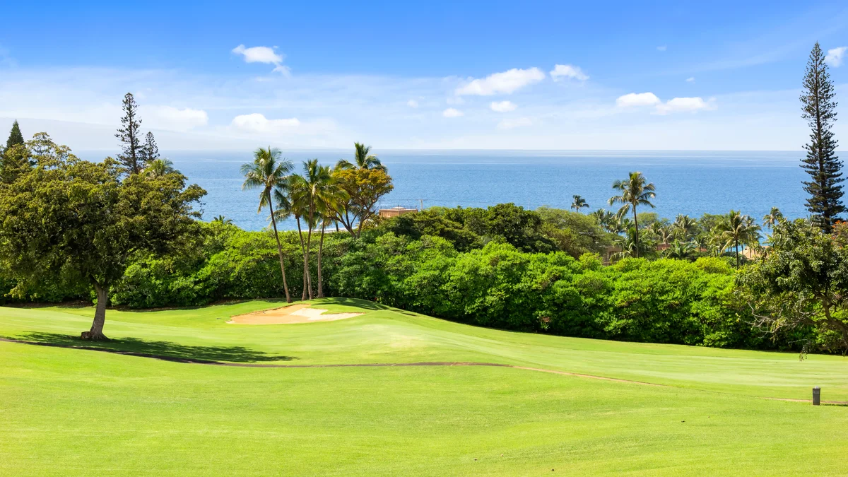 Kaanapali Plantation 10