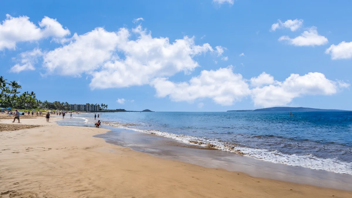 .Pacific Shores A318