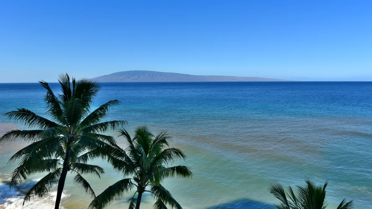 .Mahana 813