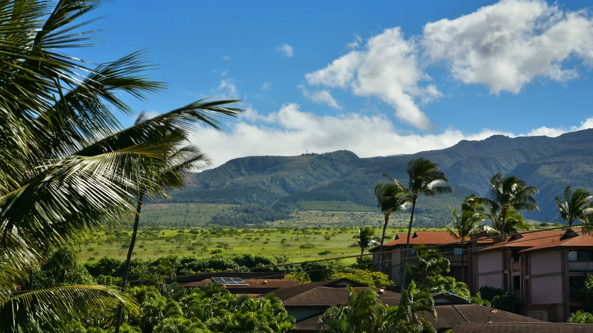 Kaleialoha 403