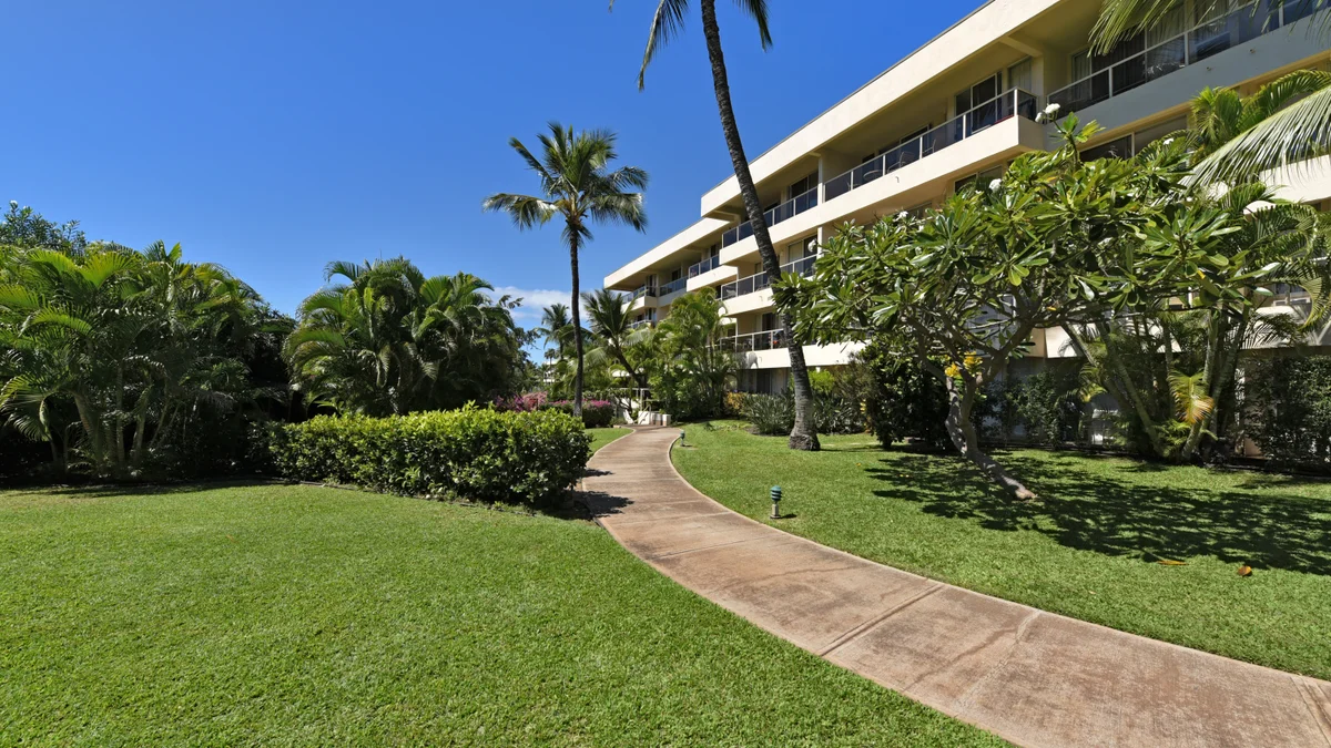 .Maui Banyan Q306