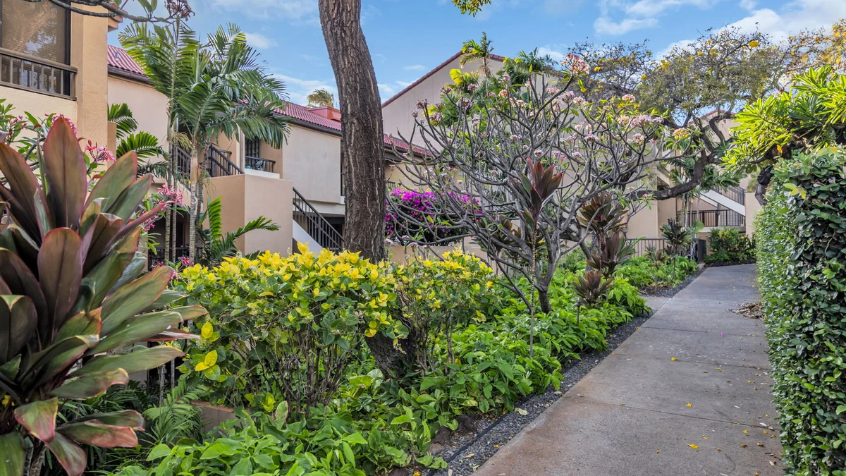 Kaanapali Royal C202