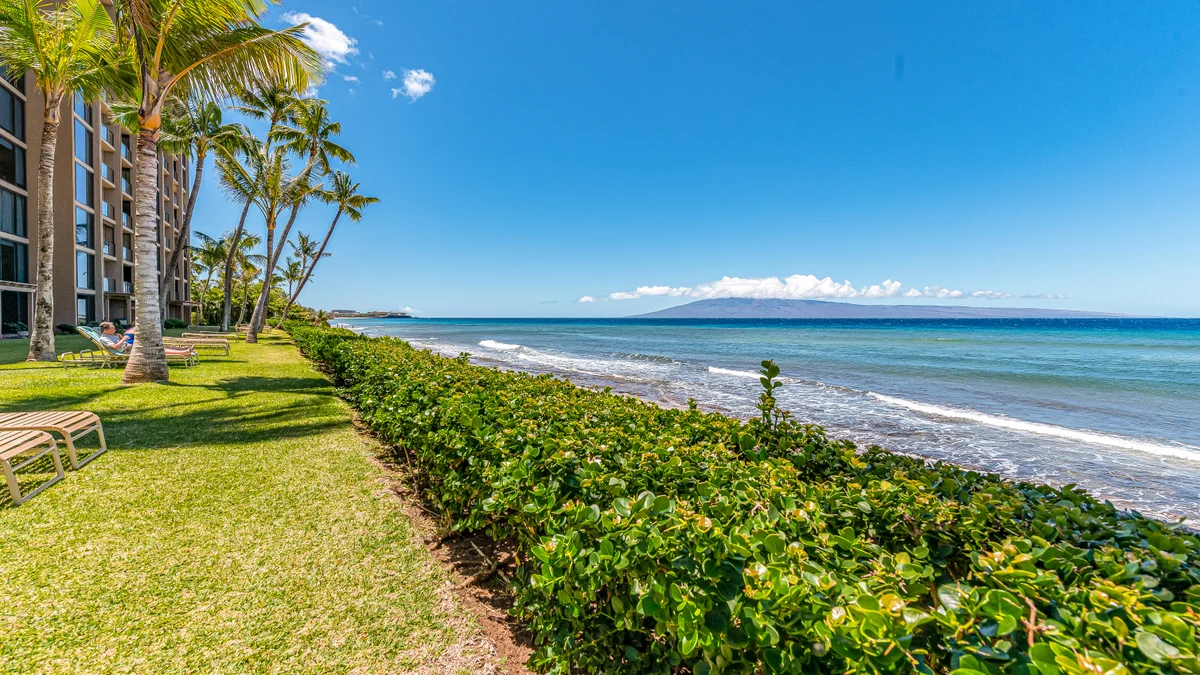 .Mahana 813