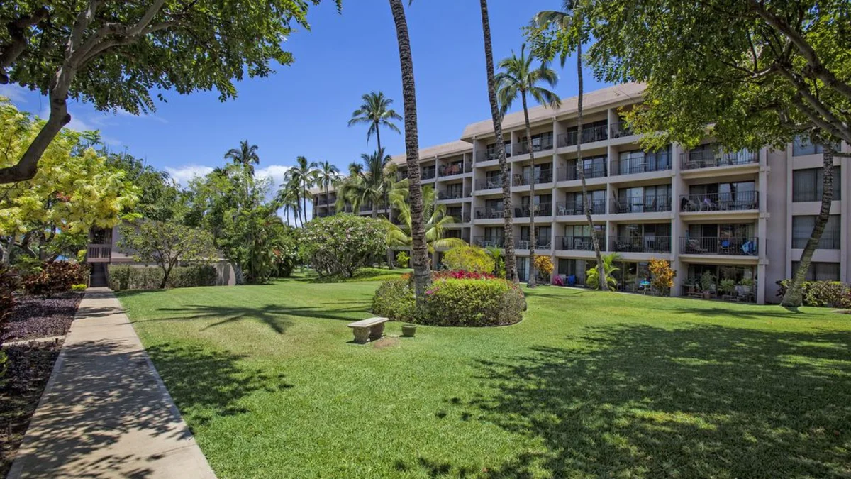 Kihei Akahi C303