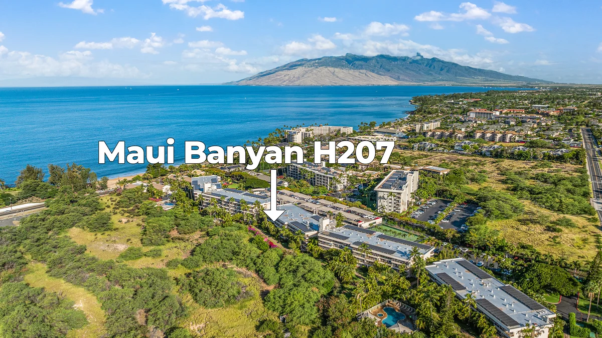 Maui Banyan H207