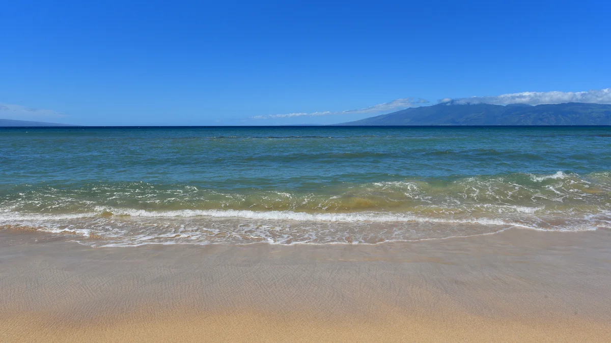 Kaleialoha 402