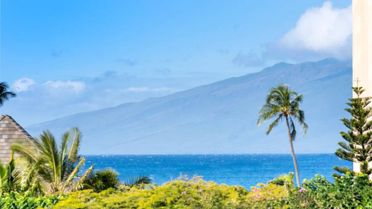 .Kahana Manor 205