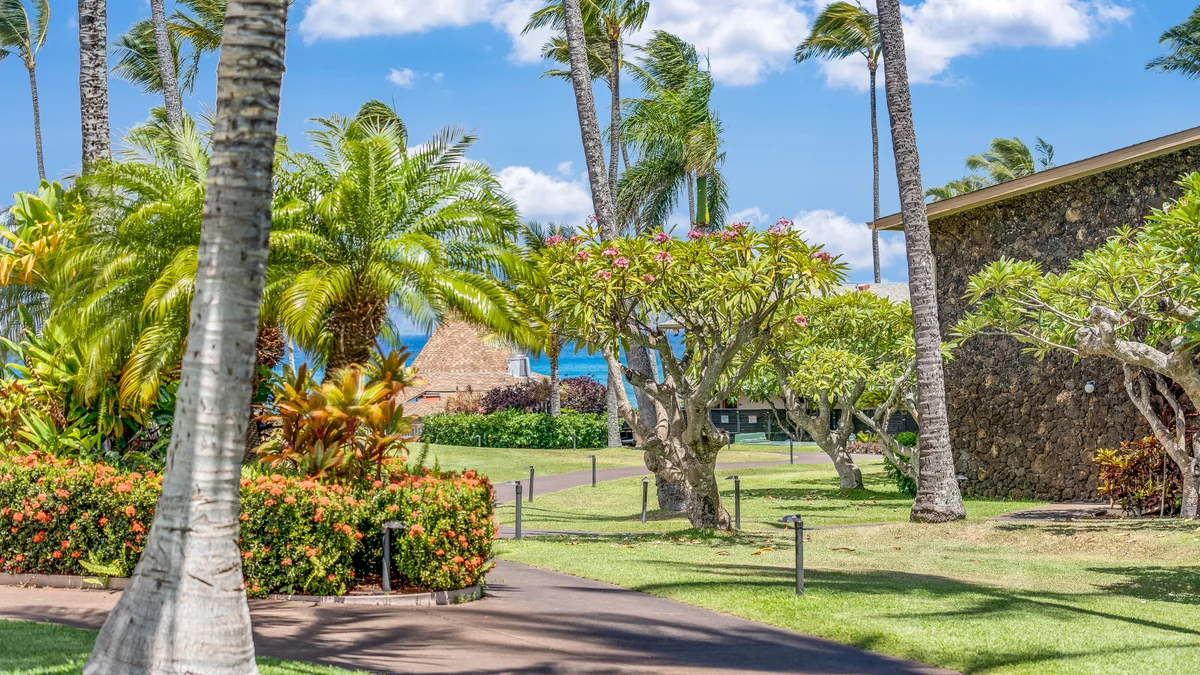 Napili Shores E240