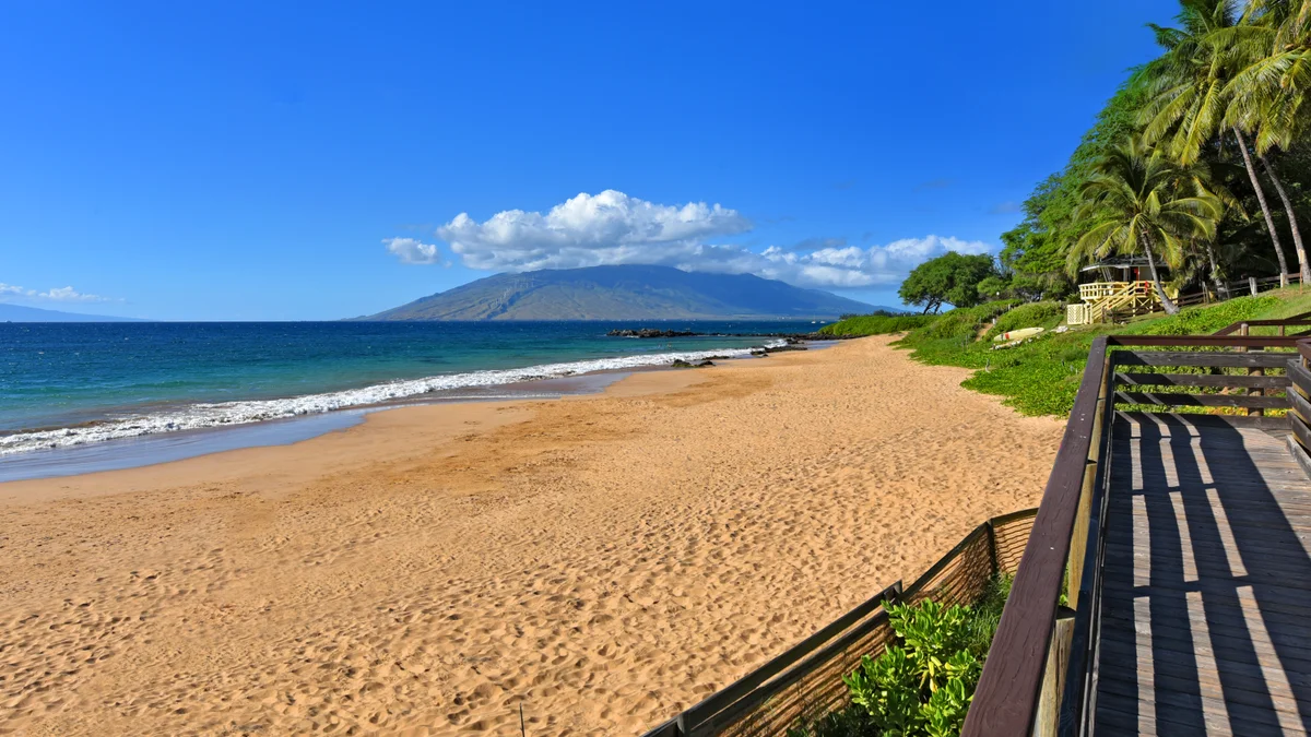 .Maui Banyan Q306