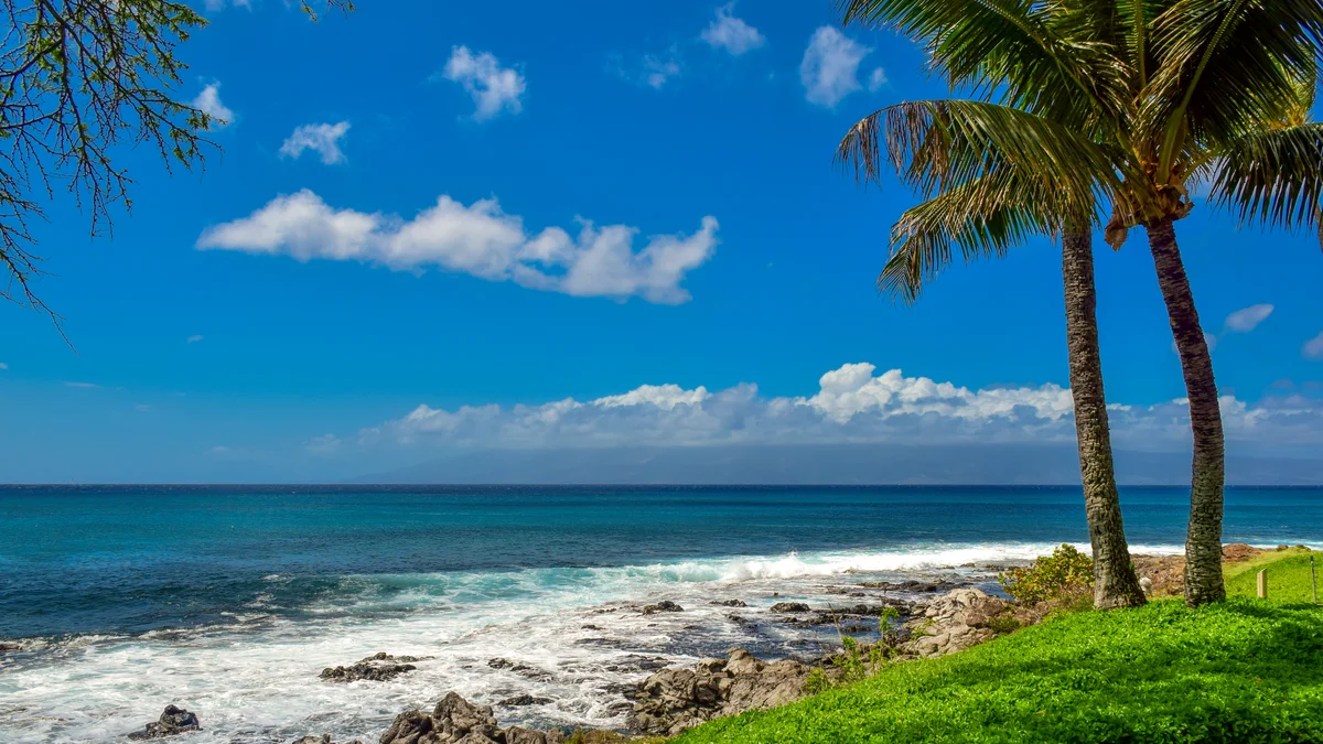 Napili Point B44