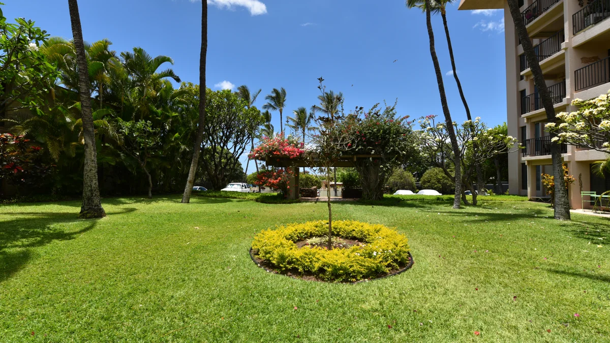 Kihei Akahi D402